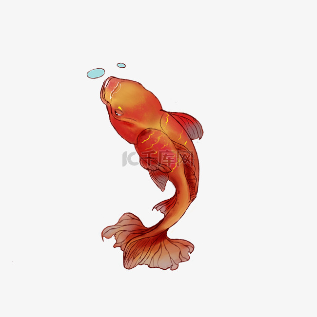 水彩红色金鱼