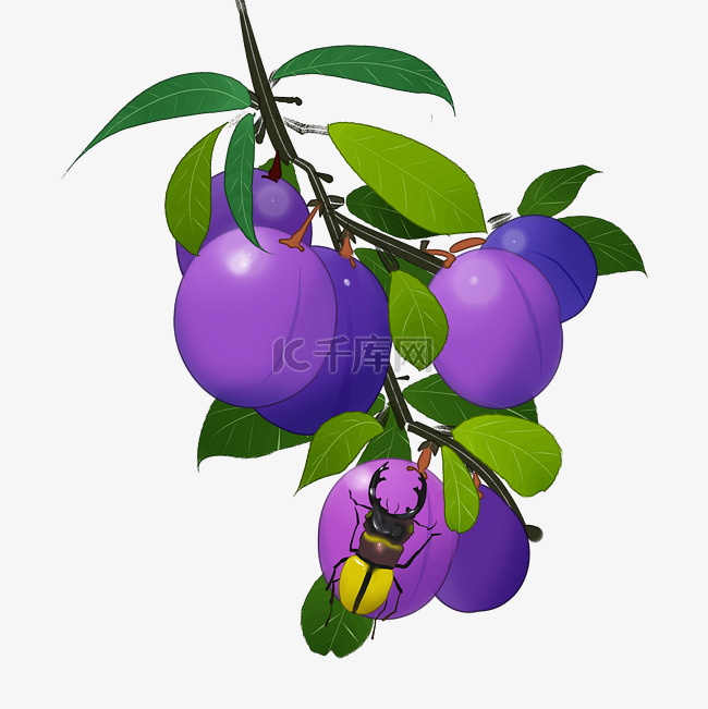 中国风果实紫色李子甲虫装饰PN