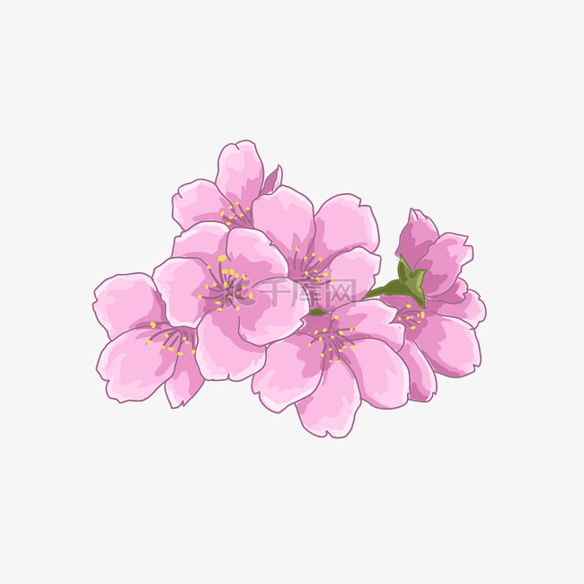 美丽樱花卡通插画