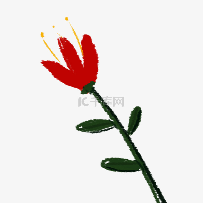 一小枝简约的红菊