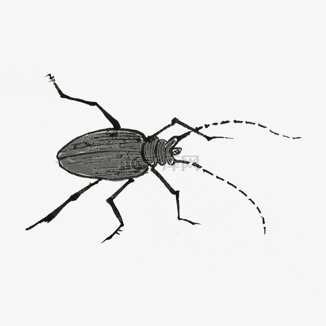 中国风昆虫水墨手绘插画