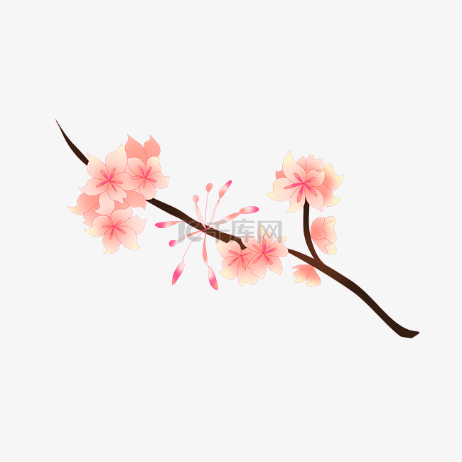 春天粉色樱花插画