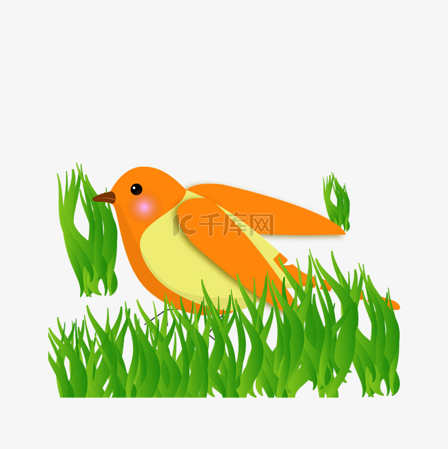 春季黄色小鸟插画