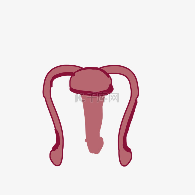 红色手绘睾丸人体器官图标