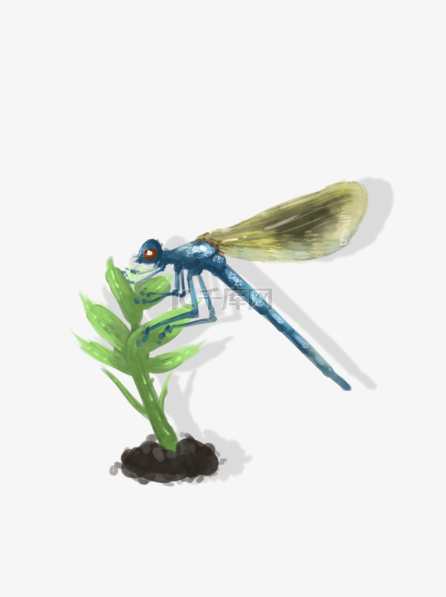 昆虫中国风蜻蜓