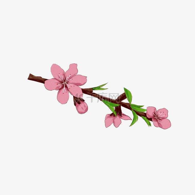 粉色桃花树枝插画