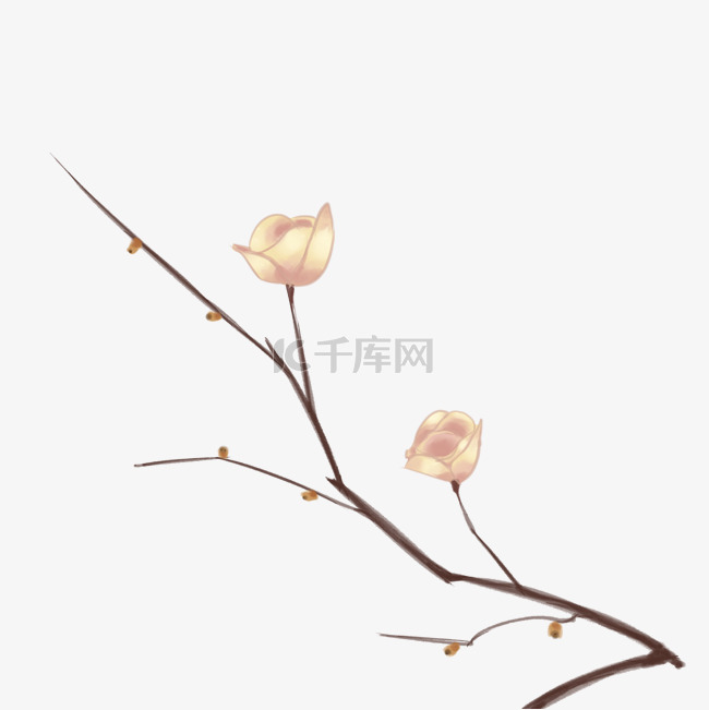 手绘玉兰花花枝插画