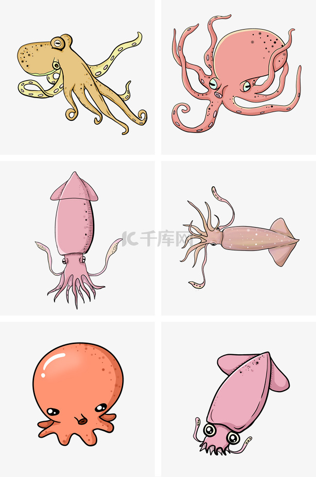 可爱的海洋生物章鱼鱿鱼组合