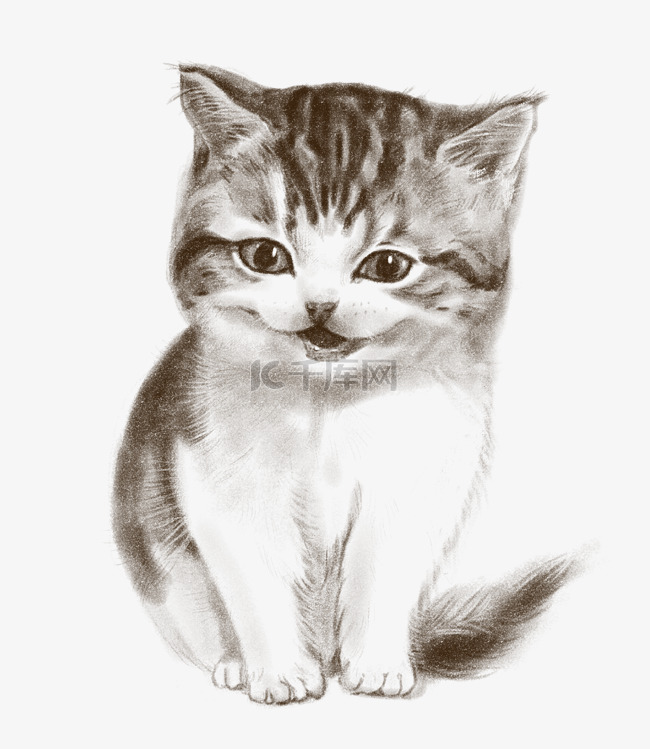 手绘线描小猫插画