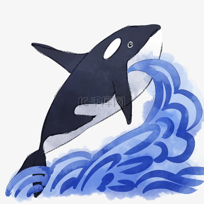 手绘海生物鲸鱼插画