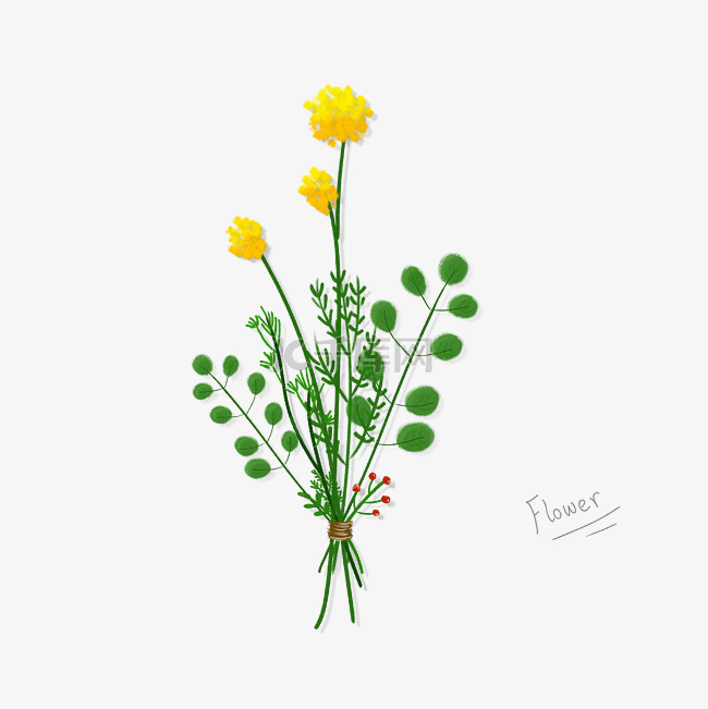 水彩手绘插画花卉