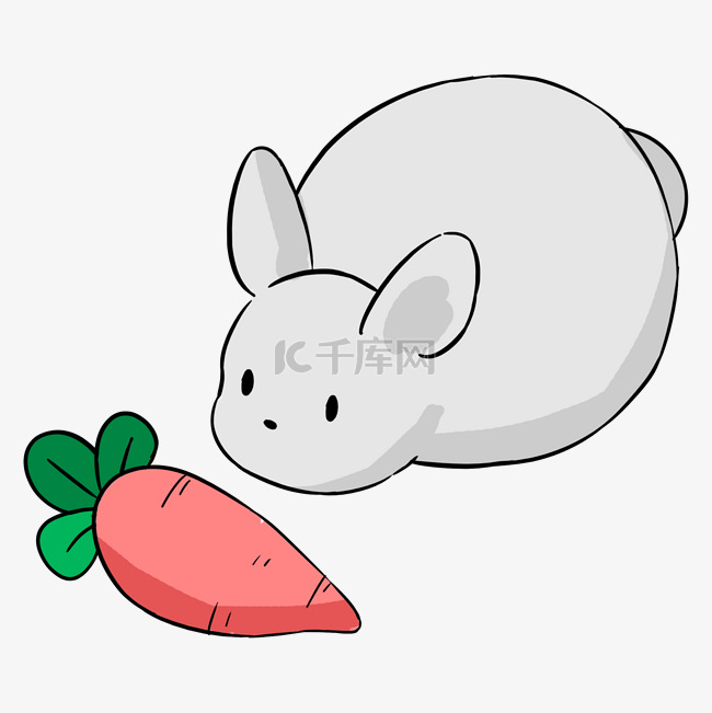 灰色吃萝卜的小兔子