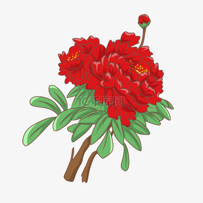 一束大红手绘花朵插画