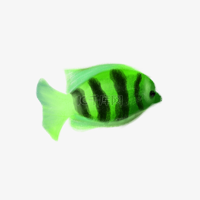 绿色条纹小鱼儿设计图