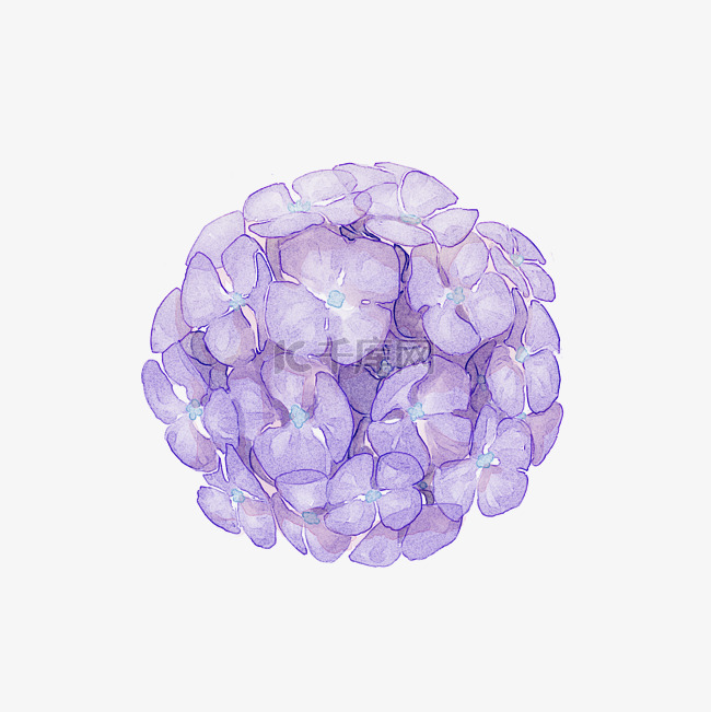 紫色浪漫手绘水彩绣球花免费
