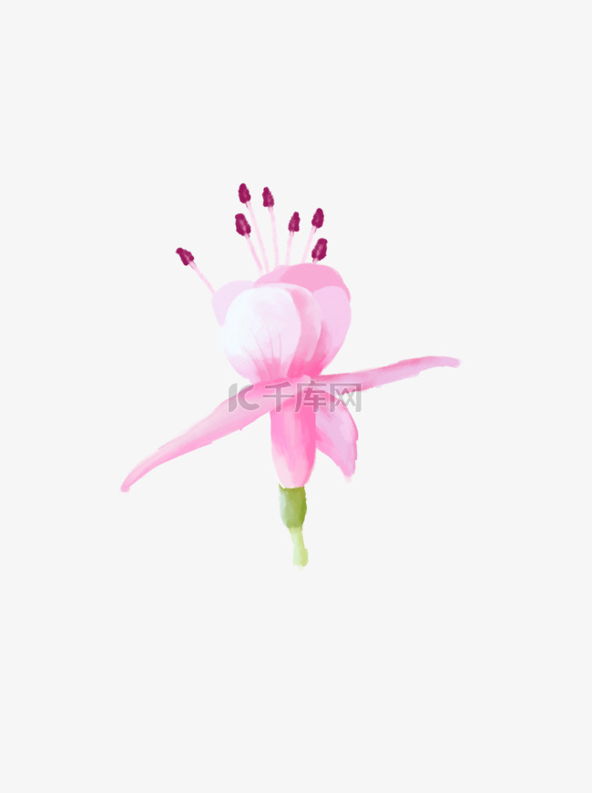 手绘粉色花朵装饰图案花瓣元素