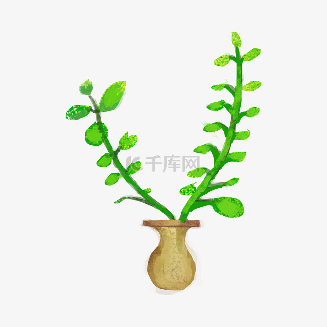 手绘藤曼植物插画