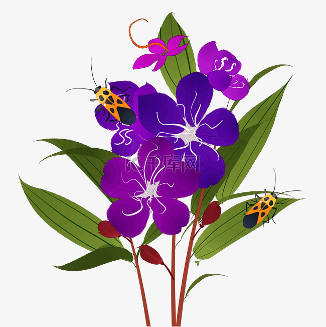 中国风花卉紫色野牡丹甲虫装饰P
