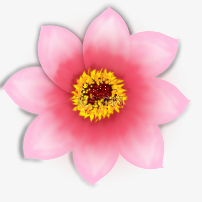 粉色花花透明png图