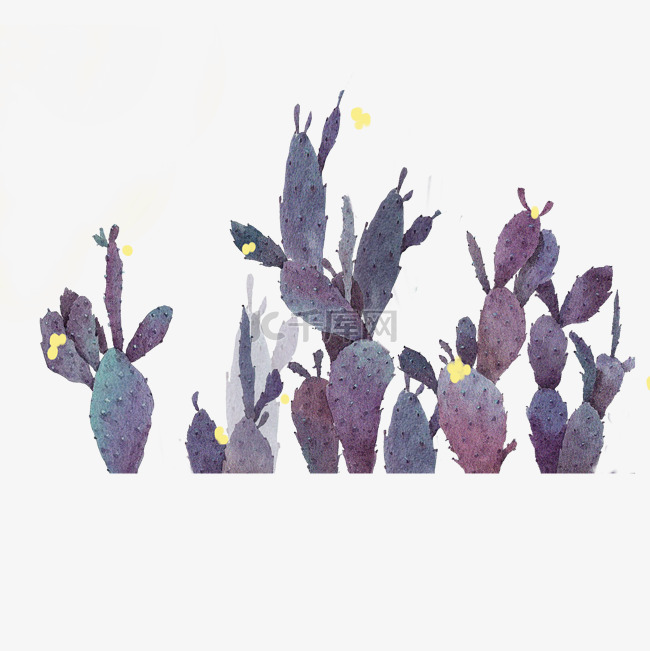  紫色仙人掌 