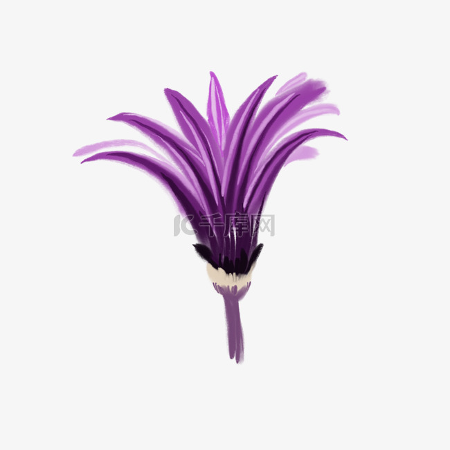 鲜花紫色花朵绘画