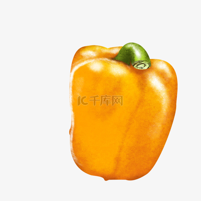 黄色辣椒蔬果素材灯笼椒手绘写实