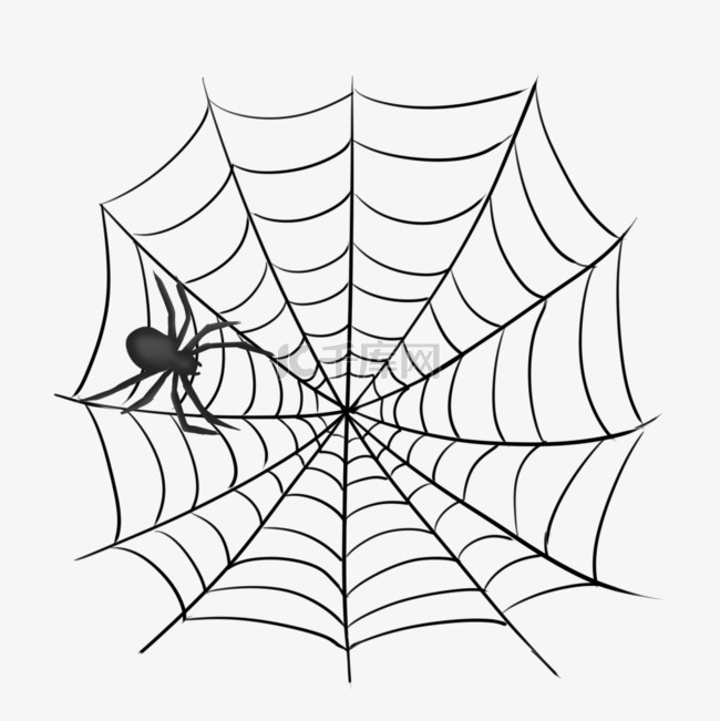 蜘蛛爬网手绘素材