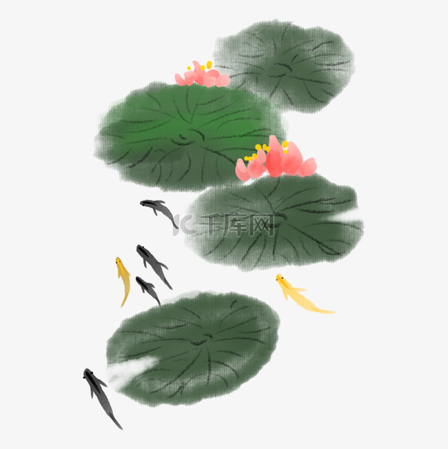 中国风荷花荷叶手绘插画