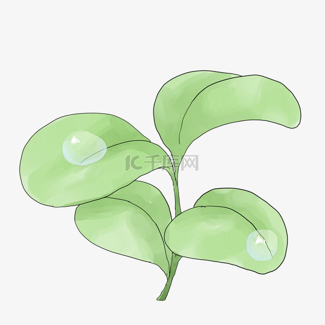 手绘植物绿叶插画