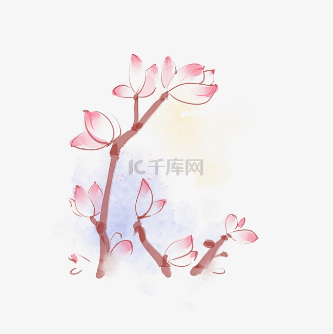 中国风水彩水墨玉兰花