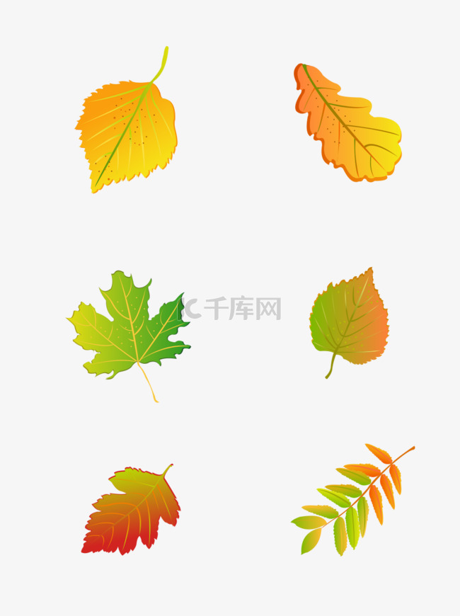 秋天叶子元素之黄绿色落叶