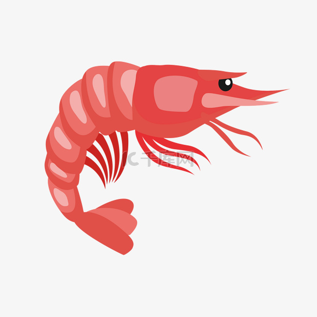 手绘海鲜大虾插画