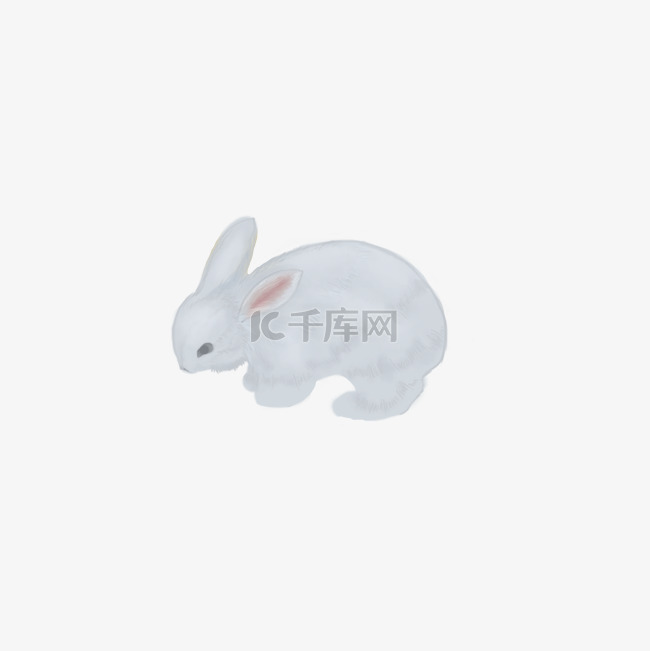 手绘中国风白色兔子