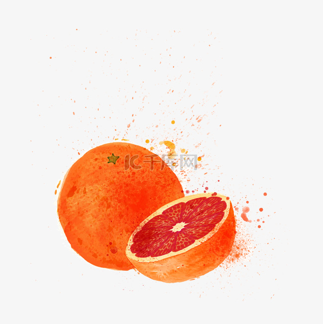 水彩橙子矢量素材