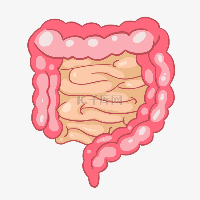 人体器官肠子插画