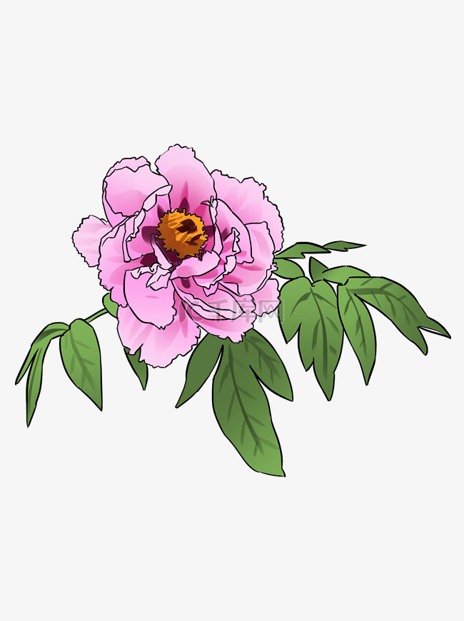 手绘牡丹花花朵插画可商用元素