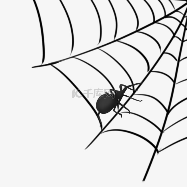 墙角蜘蛛网爬虫手绘