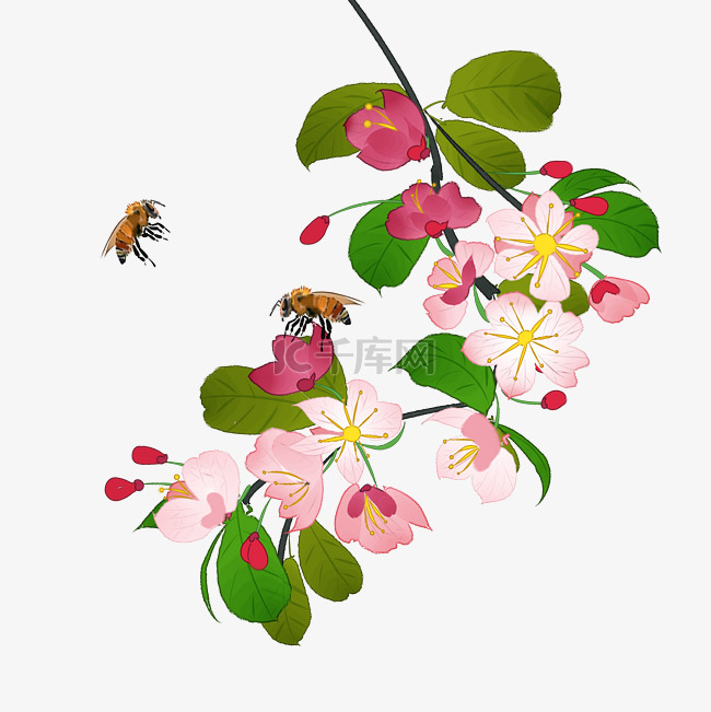 中国风花卉粉色海棠花蜜蜂装饰P