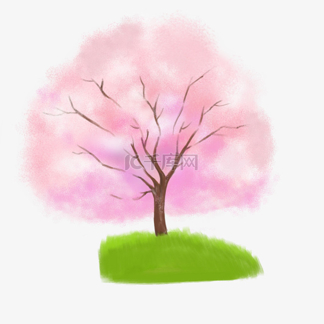 粉色樱花树 