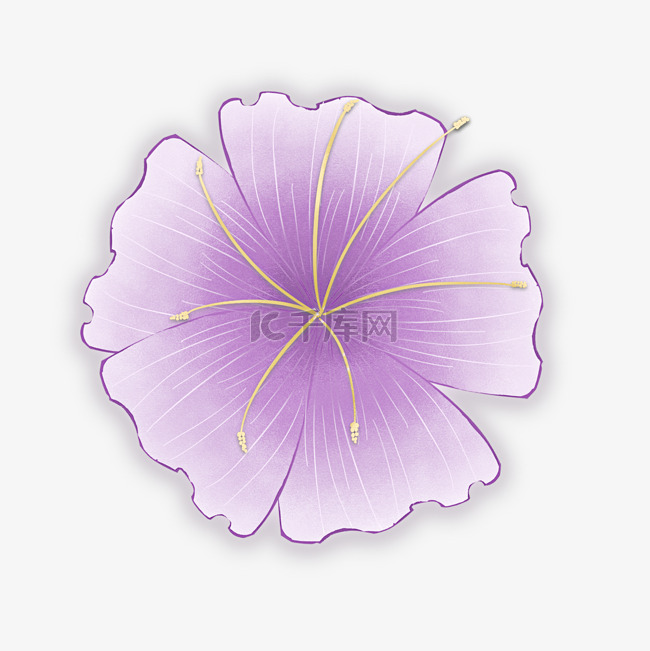 紫色手绘风清新可爱五瓣花朵pn