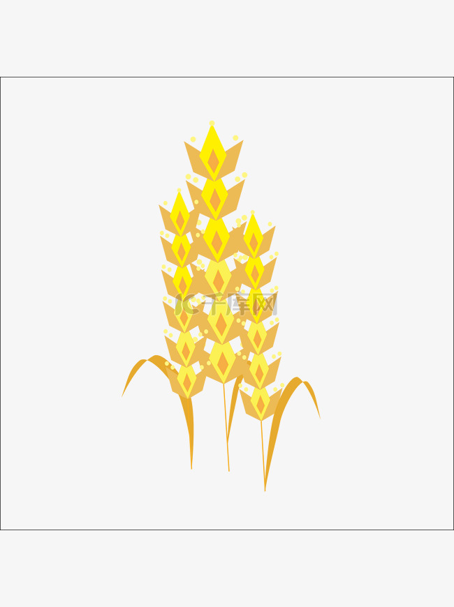 菱形麦穗秋天金黄色植物