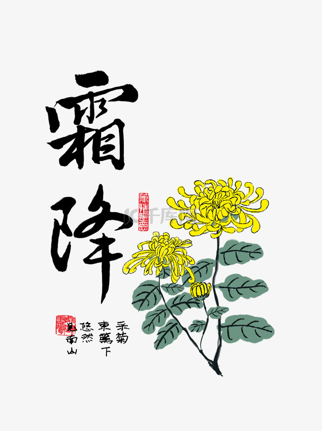 中国风霜降节气手绘菊花国画插画