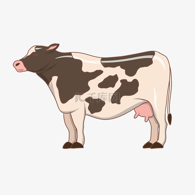 黑白奶牛装饰插画
