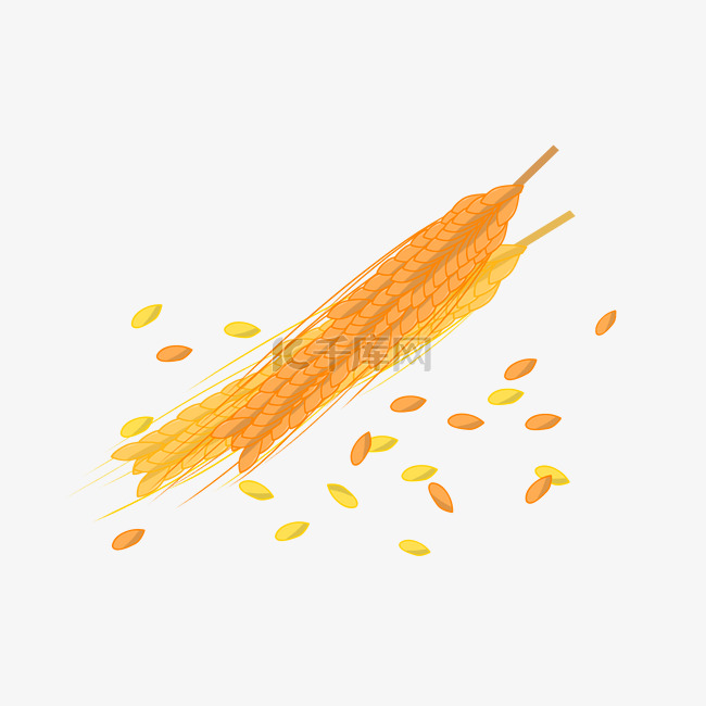 金色麦穗粮食插画
