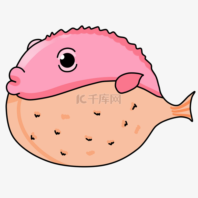 鱼海洋环境粉色河豚
