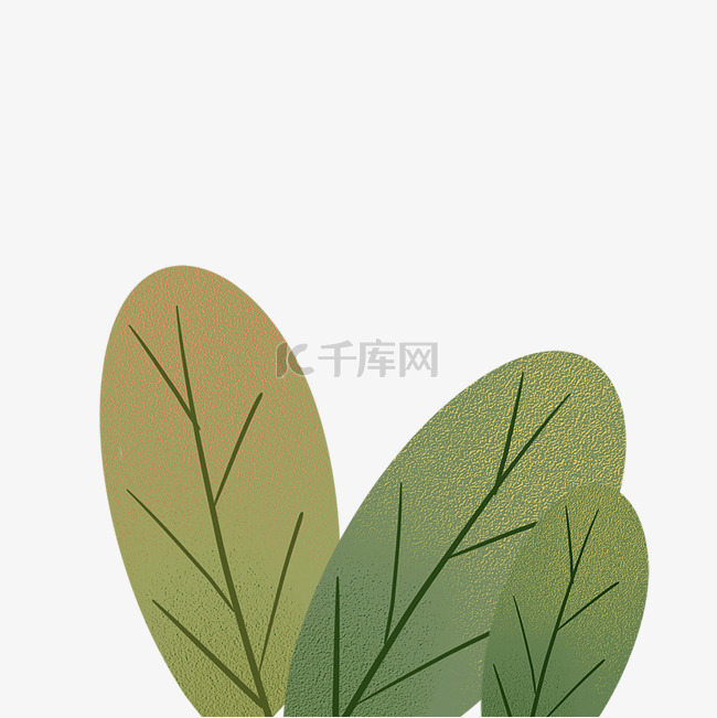 三片绿色植物免抠图