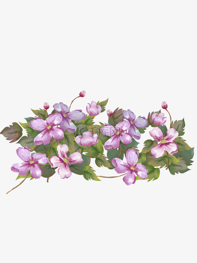 手绘复古兰花植物设计可商用元素
