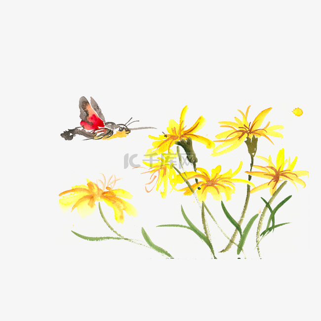 黄色花卉与飞蛾水彩画PNG免抠