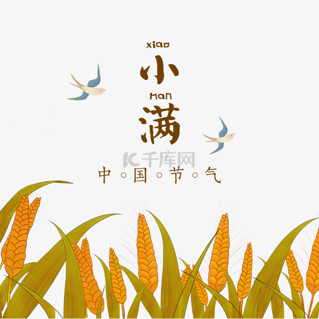 小满插画小麦燕子