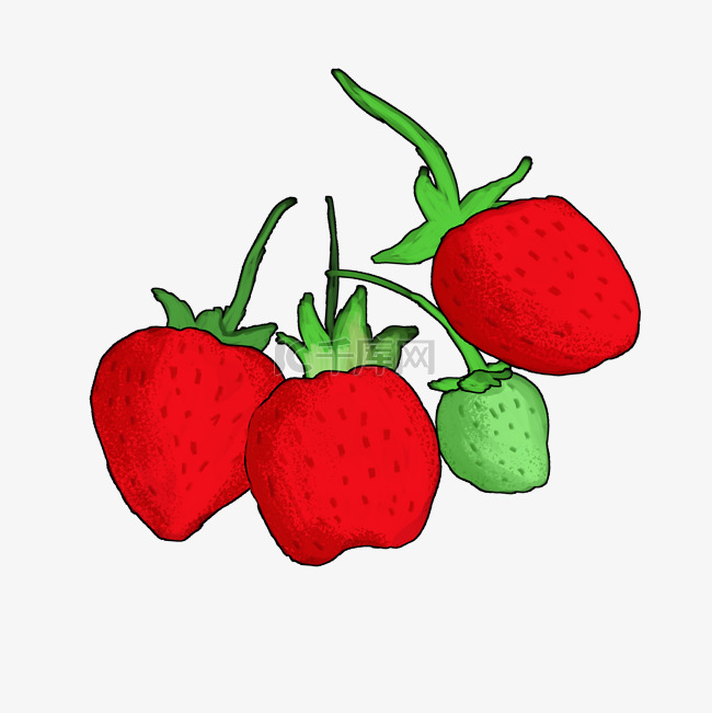 手绘水果草莓系列三四只